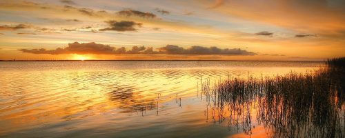 sunrise, reed, landscape-3704346 sunrise, reed, landscape